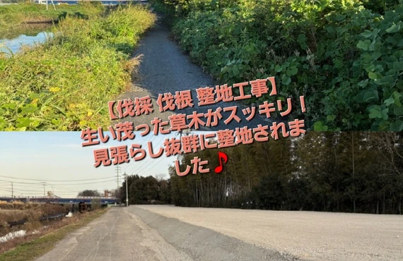 伐採　伐根　造成工事