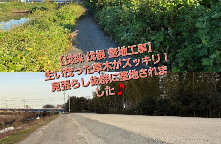 伐採　伐根　造成工事